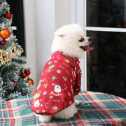 Halloween Pet Pumpkin Costume for Dogs & Cats