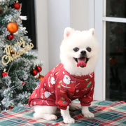 Halloween Pet Pumpkin Costume for Dogs & Cats