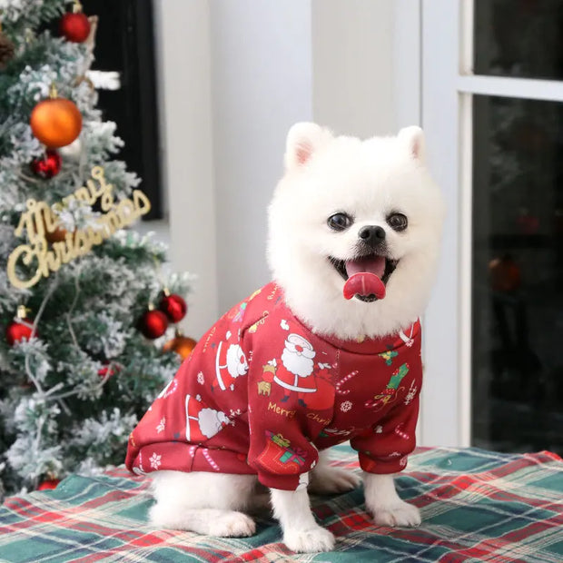Halloween Pet Pumpkin Costume for Dogs & Cats