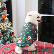 Halloween Pet Pumpkin Costume for Dogs & Cats
