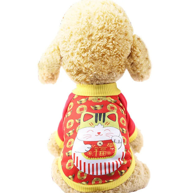 Halloween Pet Pumpkin Costume for Dogs & Cats