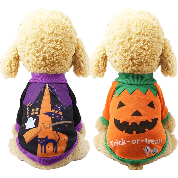 Halloween Pet Pumpkin Costume for Dogs & Cats