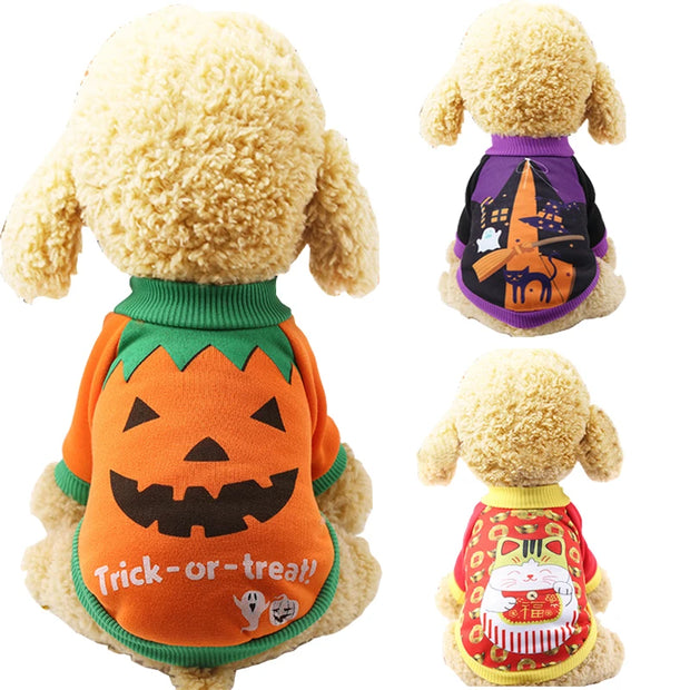 Halloween Pet Pumpkin Costume for Dogs & Cats