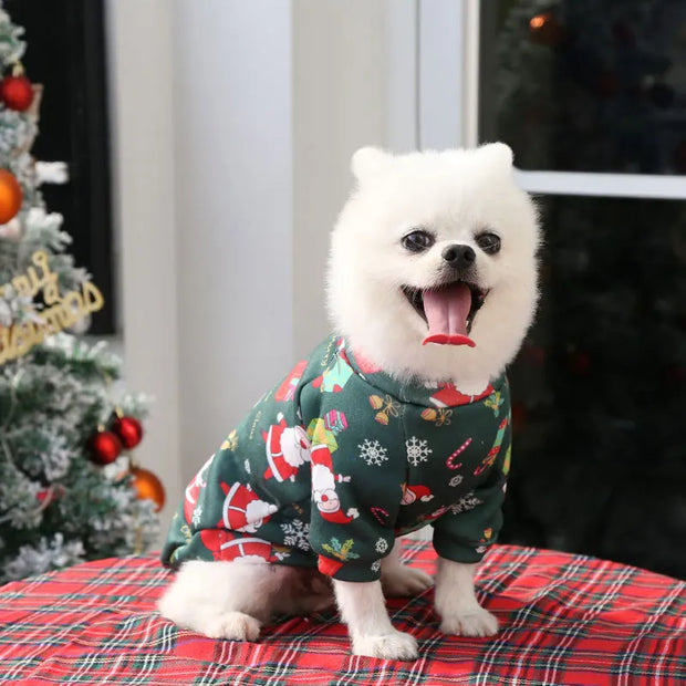 Halloween Pet Pumpkin Costume for Dogs & Cats