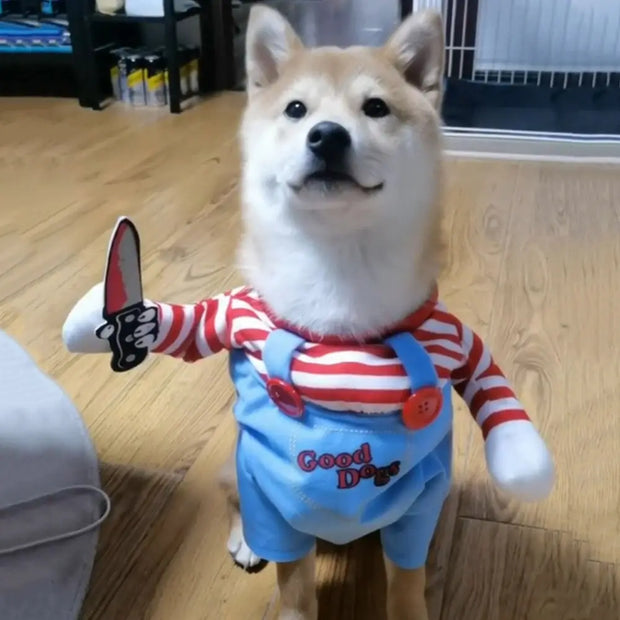 Halloween Dog Costumes Funny Pet Clothes Costume Sets For Medium Large Dogs