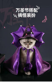 Halloween Costume Pet Dog Bat Transformation Outfit Funny Festival Cat & Dog Dresses