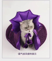 Halloween Costume Pet Dog Bat Transformation Outfit Funny Festival Cat & Dog Dresses